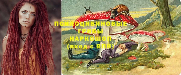 молекула духа Абинск