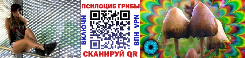 Псилоцибиновые грибы Psilocybine cubensis MEGA рабочий сайт Урень